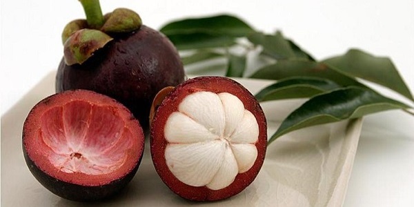 PETUA MERAWAT BUASIR