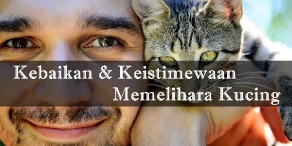 INILAH KEBAIKAN MEMBELA KUCING YANG RAMAI SUDAH TAHU....jpg