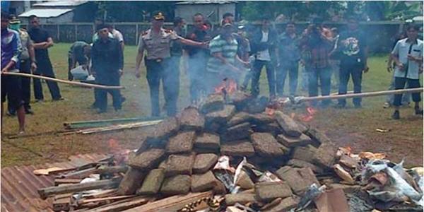 Polis Bakar 3.3 Tan Ganja