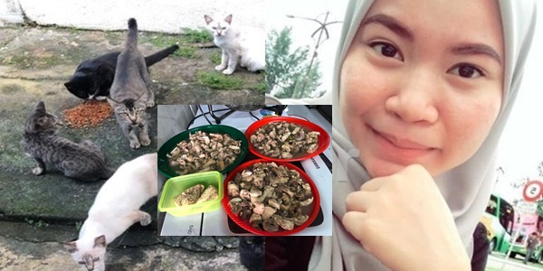 peniaga suka kucing