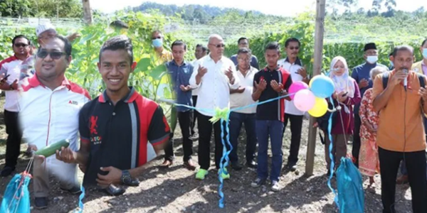 budak jutawan segera