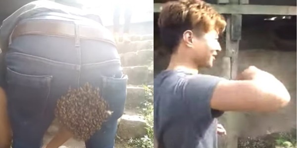 (Video) Ramai Pelik Bila Punggung Lelaki Ini Dikerumuni Lebah Mahu Bersarang
