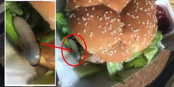 lintah dalam burger