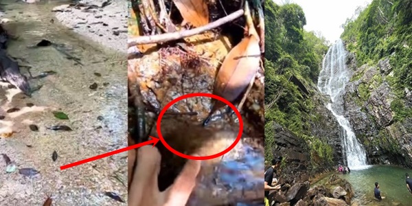 punca sebenar air terjun dan sungai