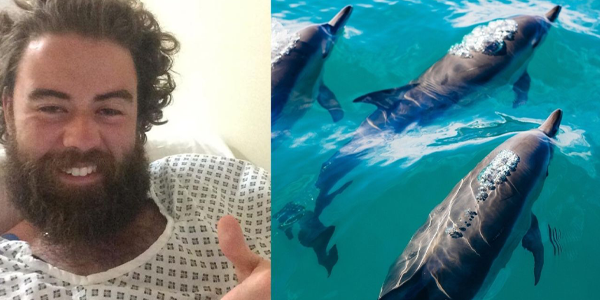 Lelaki Sesat Di Laut Berdebar Lihat Sirip ‘Jerung’, Mujur Dolphin Beri Kerjasama