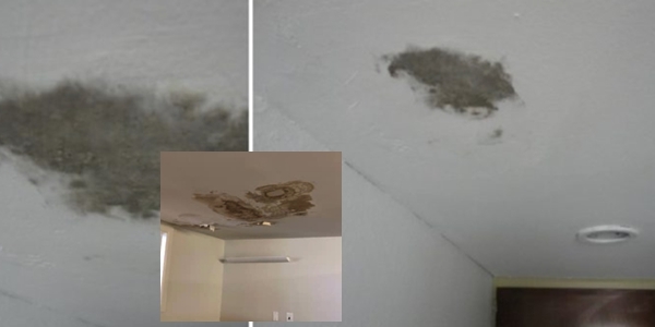 Bἀhaya ‘Tompok Kehitaman’ Yang Muncul Di Dinding Dan Siling Rumah Yang Ramai Tak Tahu