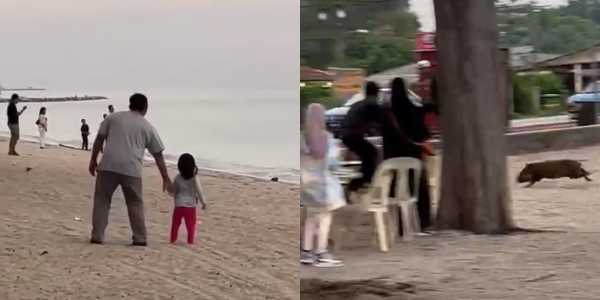 Bertempiaran Orang Lari, Ingatkan Buaya Rupanya Binatang Terkutuk Berenang Naik Ke Pantai