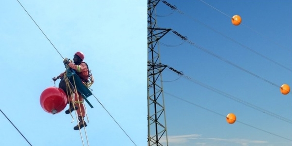 bola tergantung kabel elektrik