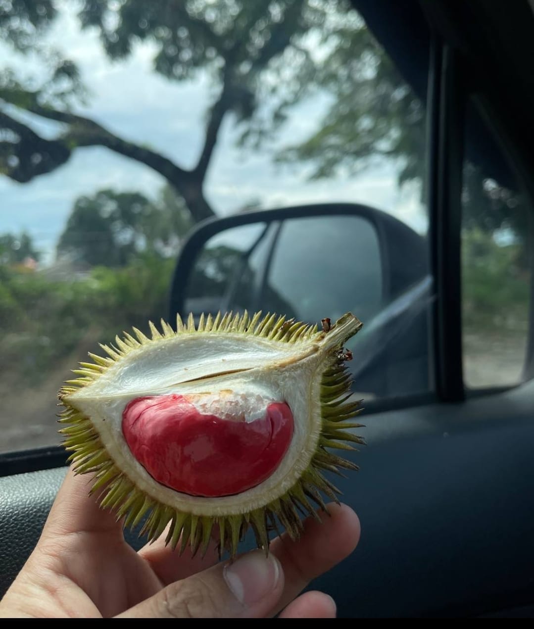 Sabah
